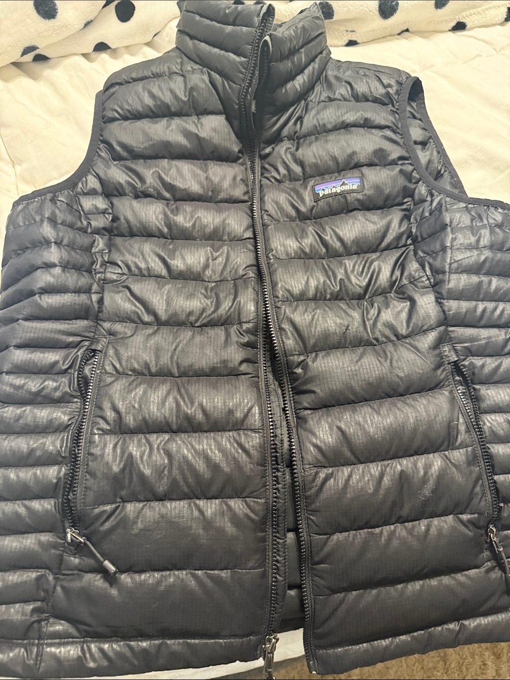 Patagonia Black Quilted Down Vest